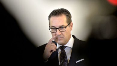 Diepresse , Heinz Strache