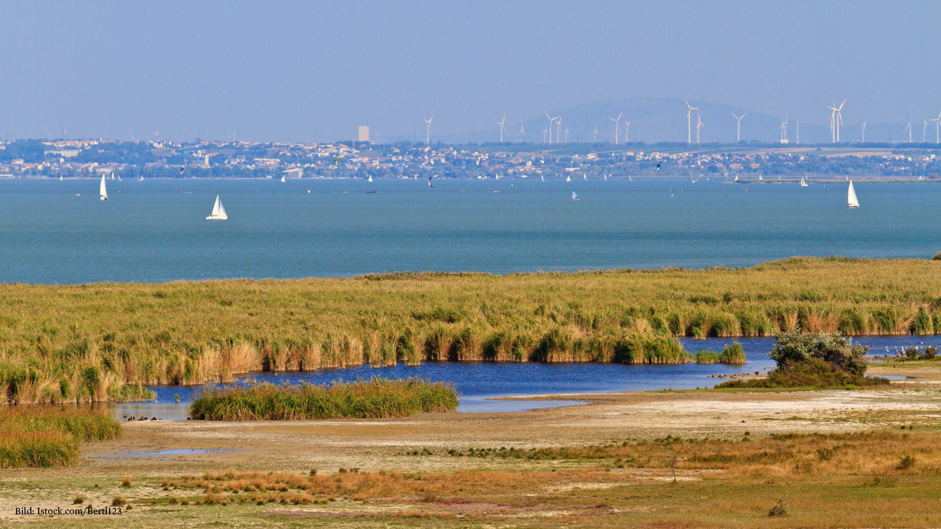 بحيرة نيوسايدل Neusiedler See - بورغنلاند