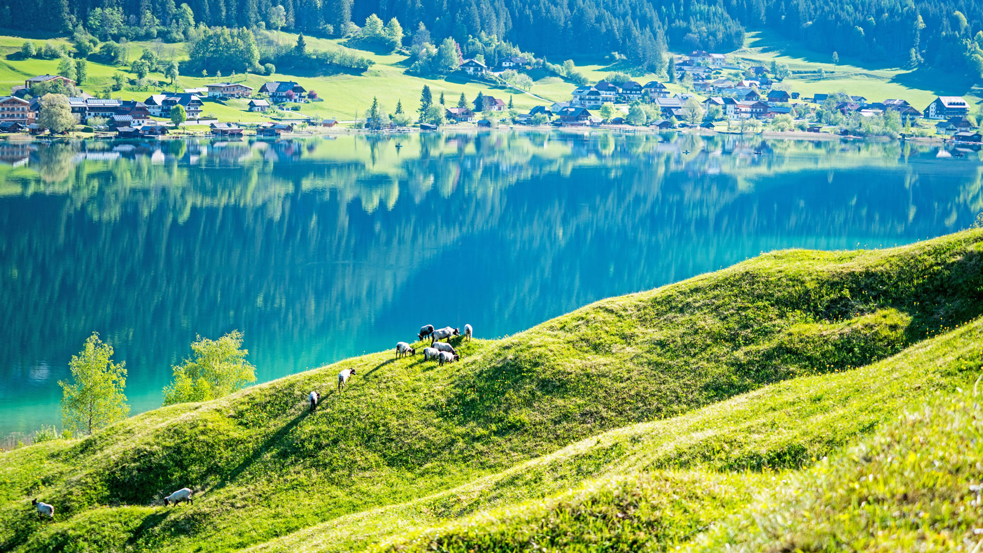 بحيرة فيسين زيه Weissensee Lake - كارينثيا