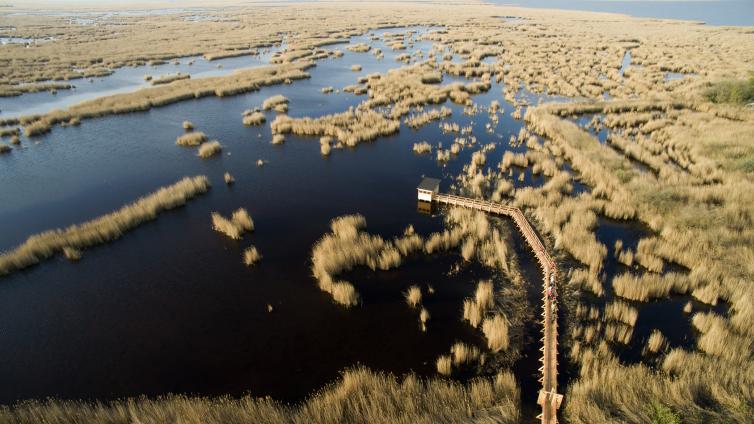 بحيرة نيوسايدل Neusiedler See - بورغنلاند